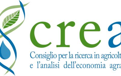 LOGO-CREA logo crea