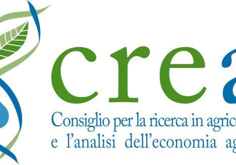 logo crea